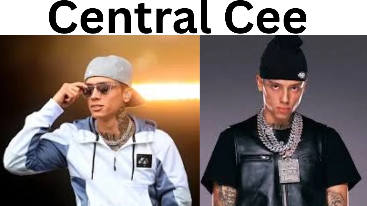 Central Cee Net worth
